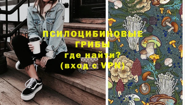 хмурый Алексеевка