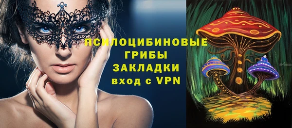 хмурый Алексеевка