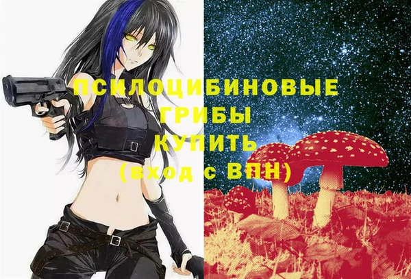 хмурый Алексеевка