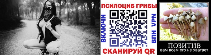 наркотики  Ивдель  Псилоцибиновые грибы мухоморы 